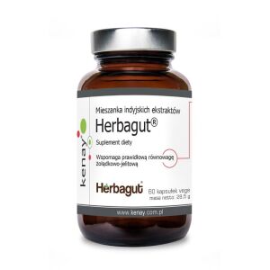 KENAY Herbagut® - a mixture of Indian extracts (60 caps) - Viking Supplements