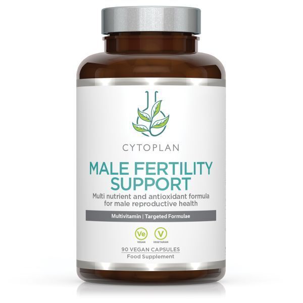 A férfi termékenység támogatása – 90 vcaps – Viking Supplements