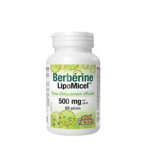 Natural Factors Berberine LipoMicel Matrix (60 lágykapszula) – Viking Supplements