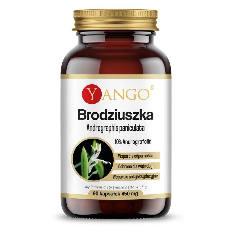 YANGO Andrographis paniculata (90 kapszula) – Viking Supplements