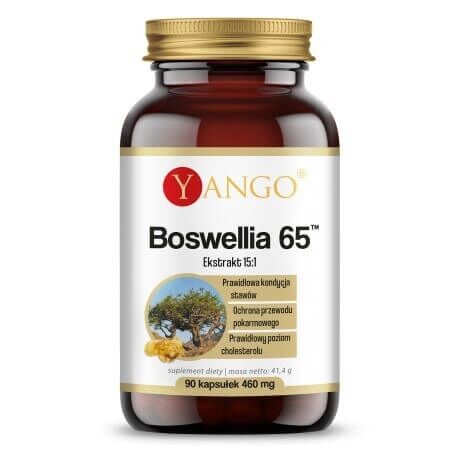 YANGO Boswellia 65 (90 kapszula) – Viking Supplements